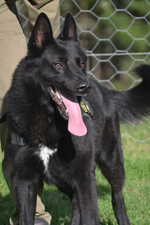 Duke