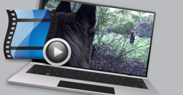 image of Videos